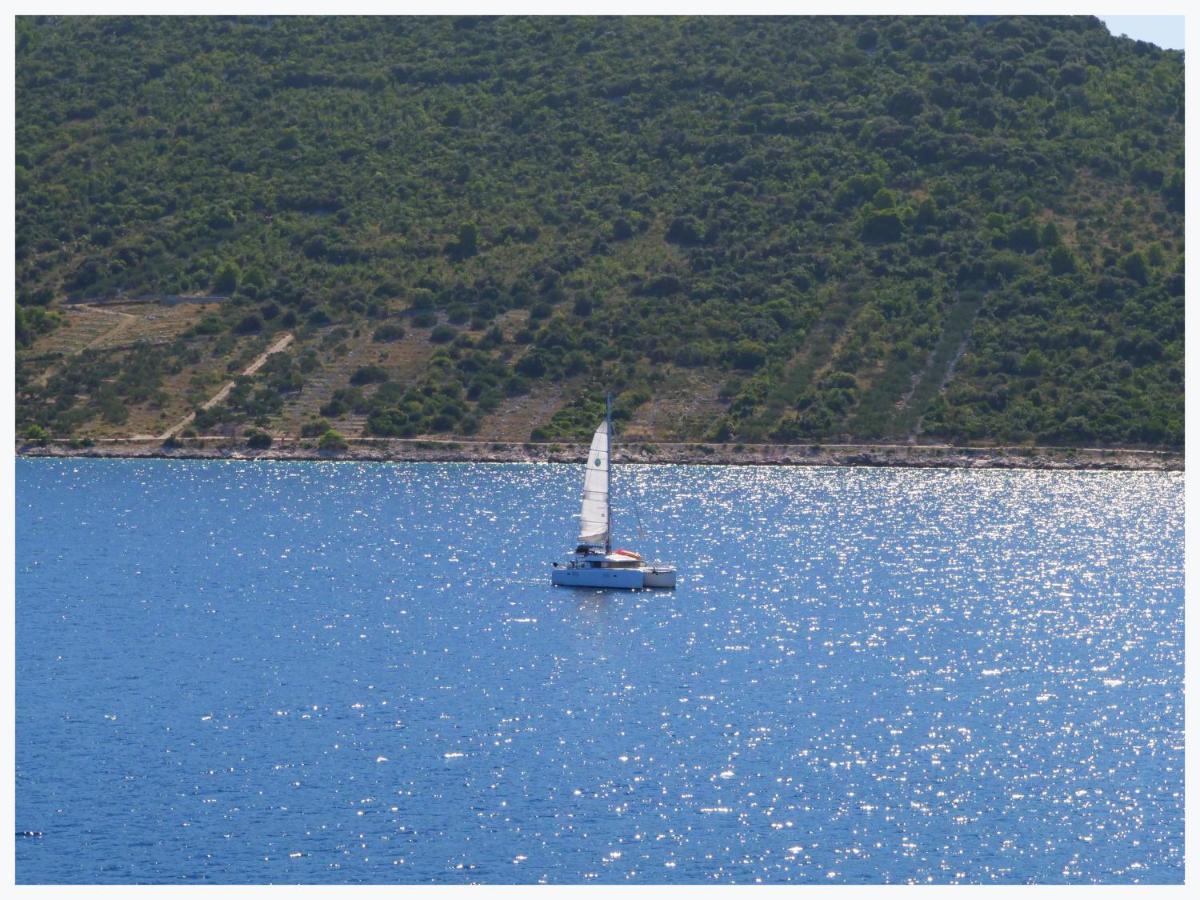 The Peninsula Leilighet Primošten Eksteriør bilde